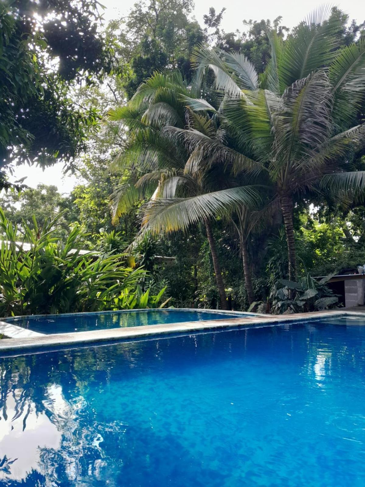 Hammock Plantation Apartment เอลซอนเต ภายนอก รูปภาพ